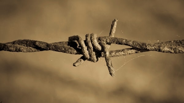 Alliances in World War II